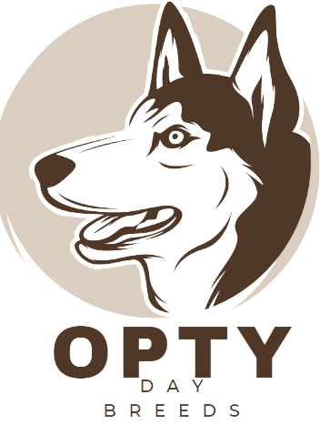 opty.shop